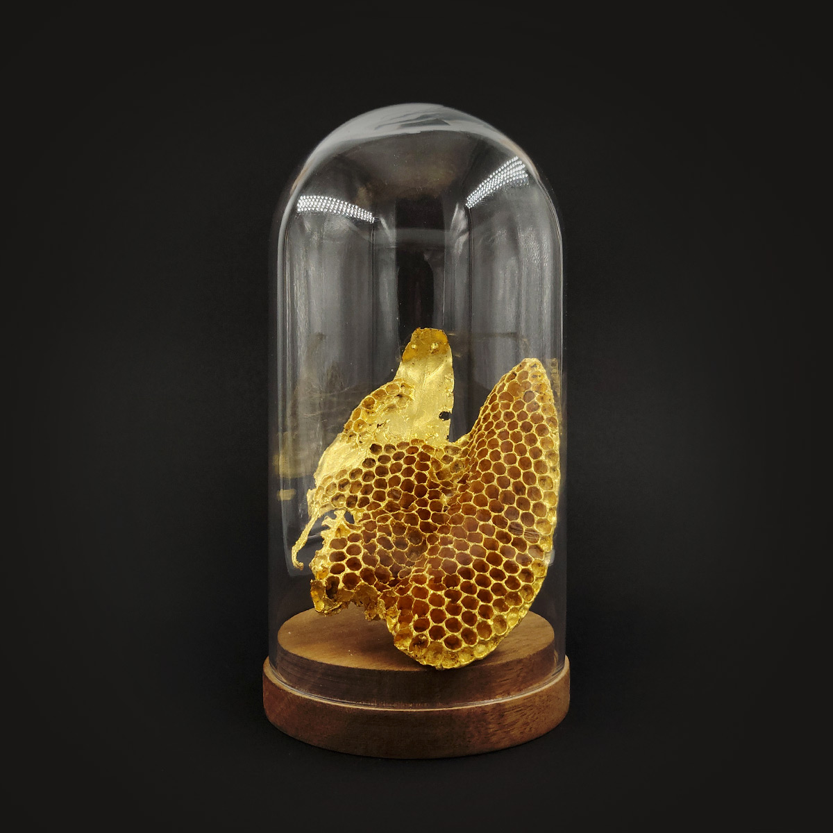 Nid d'abeilles
