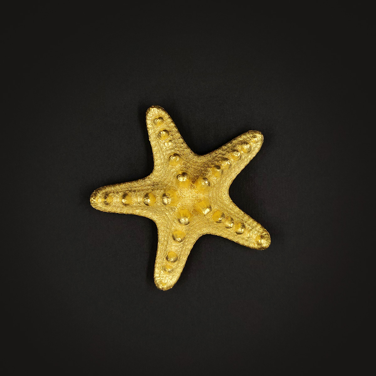 Etoile de mer à cornes - L'intermédiaire