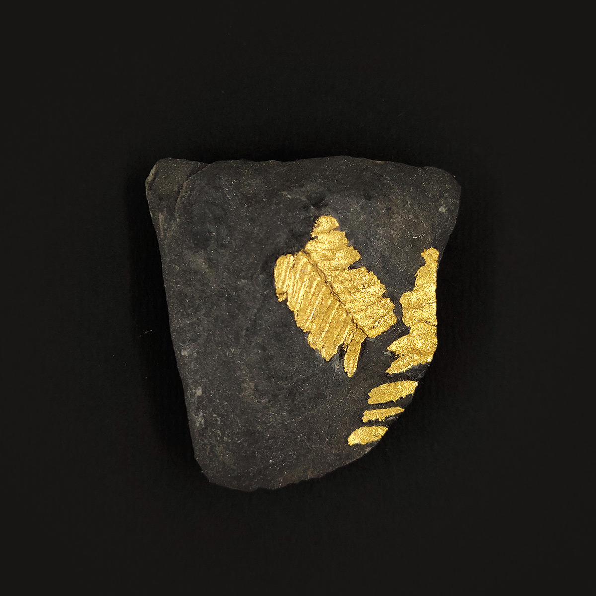 Impression végétale-2