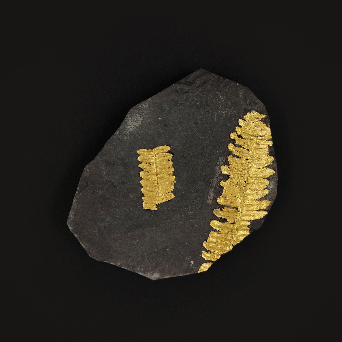 Impression végétale-1