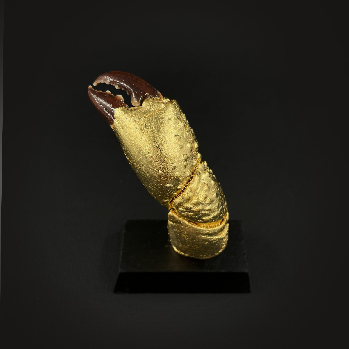 La Pince