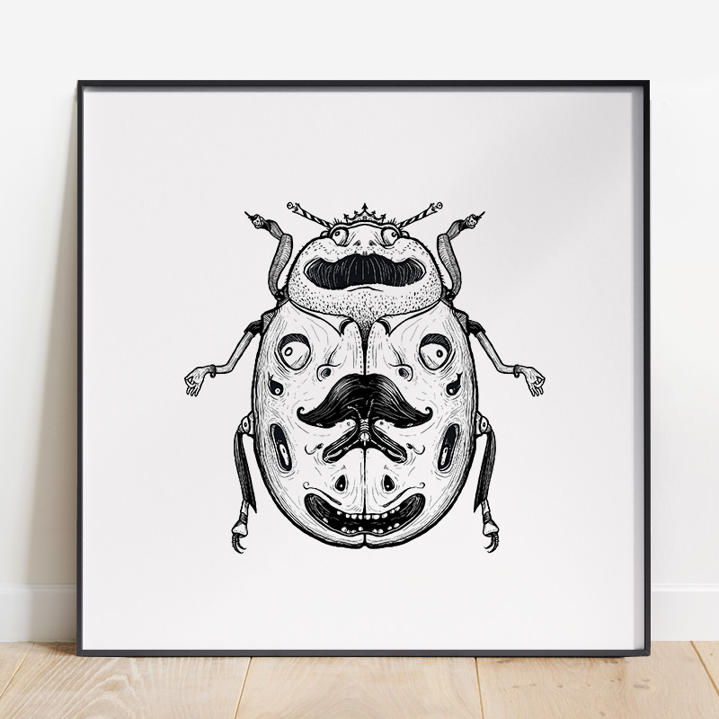 Coccinelle