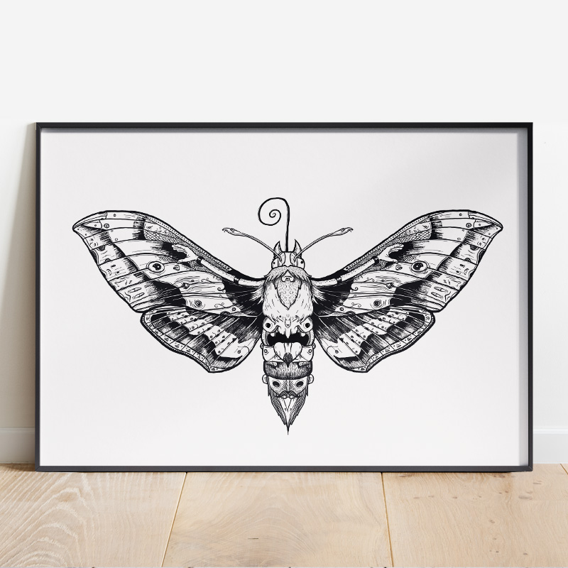 Papillon